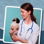 Simpósio de Medicina Veterinária: uma experiência enriquecedora!